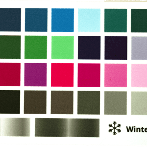 kleurenkaart wintertype