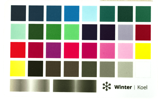 kleurenkaart wintertype